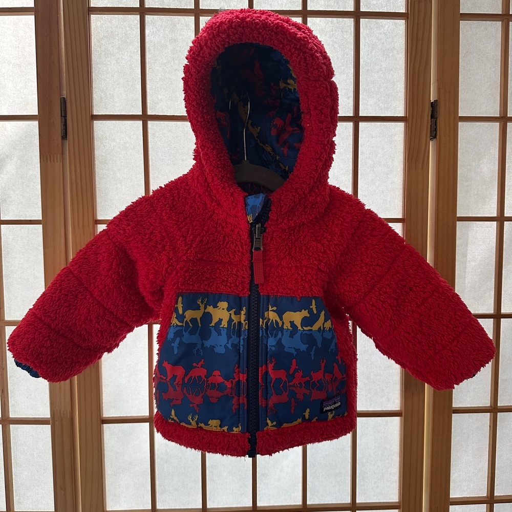 Patagonia Reversible Jacket